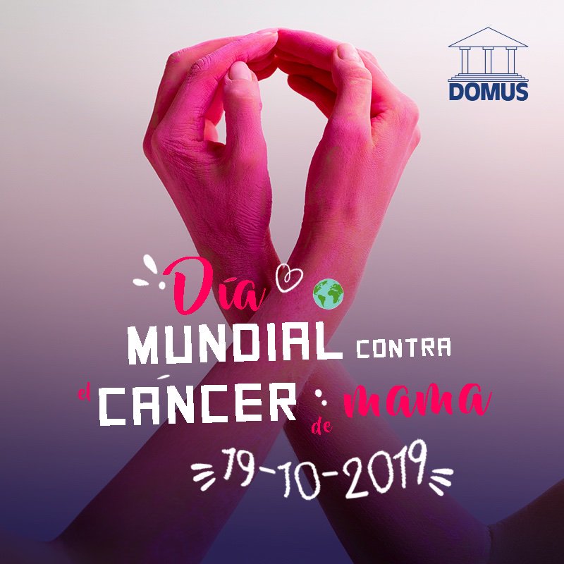 inmodomus's tweet photo. "​Eres más valiente de lo que crees, más fuerte de lo que pareces, más inteligente de lo que imaginas y el doble de bella que nunca hubieras imaginado"

#InmobiliariaDOMUS #DíaContraElCáncerDeMama #JuntasYFuertes https://t.co/WGtf1xSVmF