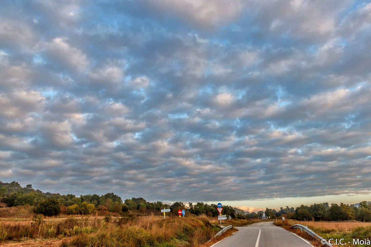 Bon dia! T. mín. 10ºC Hum.96% 📸Al començar el dia pel #Moianès  <a href="/meteocat/">Meteocat</a> #324eltemps #Montserrat <a href="/PNMontserrat/">PN Montserrat</a> <a href="/bcnmoltmes/">Barcelona és molt més</a> <a href="/catexperience/">Catalunya Experience</a> <a href="/AlfredRPico/">Alfred Rodríguez Picó</a> <a href="/ARAmeteo/">ARA Méteo</a> <a href="/meteorac1/">Meteorologia RAC1</a> <a href="/meteo8aldia/">meteo8aldia</a> <a href="/alcantara_alb/">Alberto Alcántara</a> <a href="/rbartolisala/">Ramon Bartolí Sala</a> <a href="/gemmapuigf/">Gemma Puig Feliu</a> <a href="/SoniaPapell/">Sònia Papell Caimons</a> <a href="/eloicordomi/">Eloi Cordomí Montoya</a> <a href="/Cat_Meteo/">Catalunya Méteo</a> @MeteoMauri