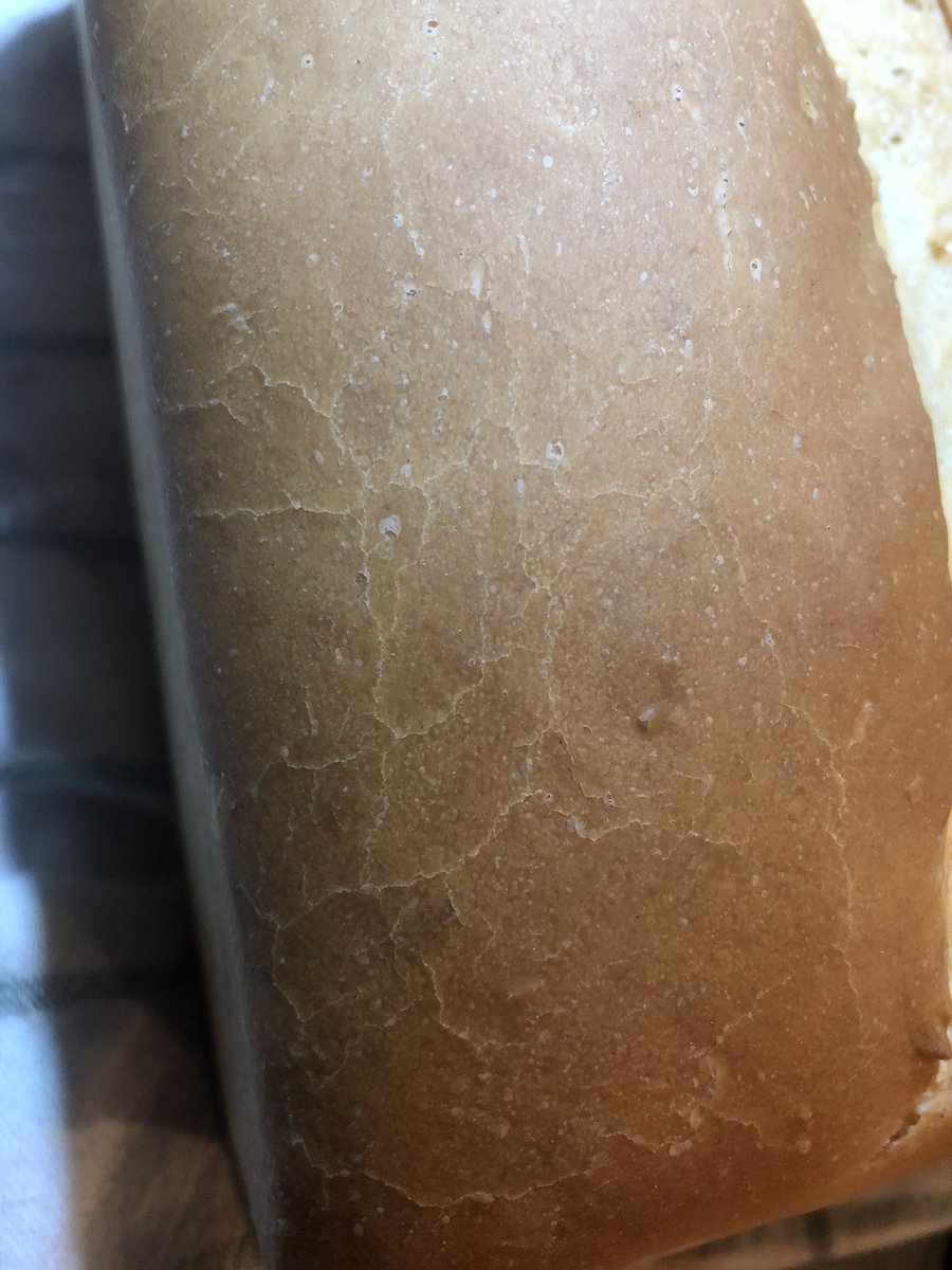 monkeybearbakes's tweet photo. I accidentally baked a loaf of bread that looks like the plasticine display loaf that bakeries used to put out... down to the antiqued cracks on the crust.... https://t.co/LzyIBrWSnE