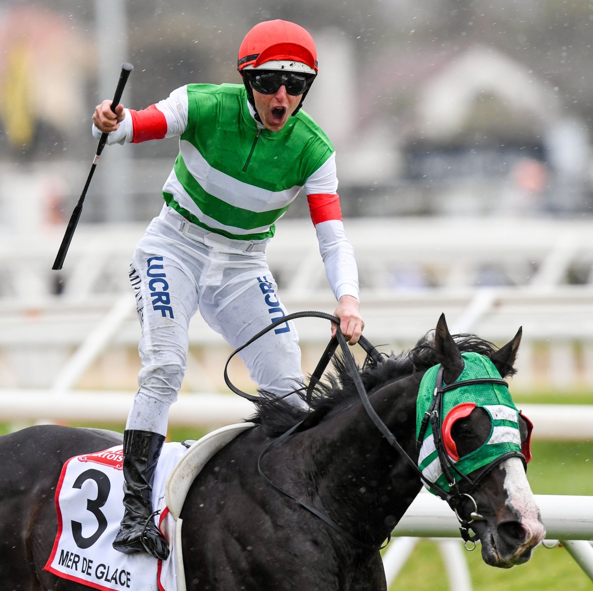Damian Lane celebrates winning the Stella Artois Caulfield Cup on Mer De Glace #horseracing #thoroughbred #horsephotography #horsephotographer #melbourneraces#melbourneracing #sportsphotography#racingphotography <a href="/racingdotcom/">Find us @Racing</a> @melbourneracingclub <a href="/racingvictoria/">Racing Victoria</a> <a href="/LaneDamian/">Damian Lane</a>
