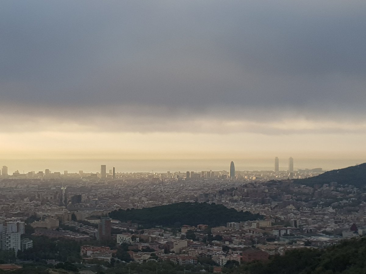 FerminFebrero's tweet image. After 6 months broken, #RunLikeHell at Collserola! ,good feelings  (madroños everywhere!) #Barcelona , #StopViolenceAtAll.