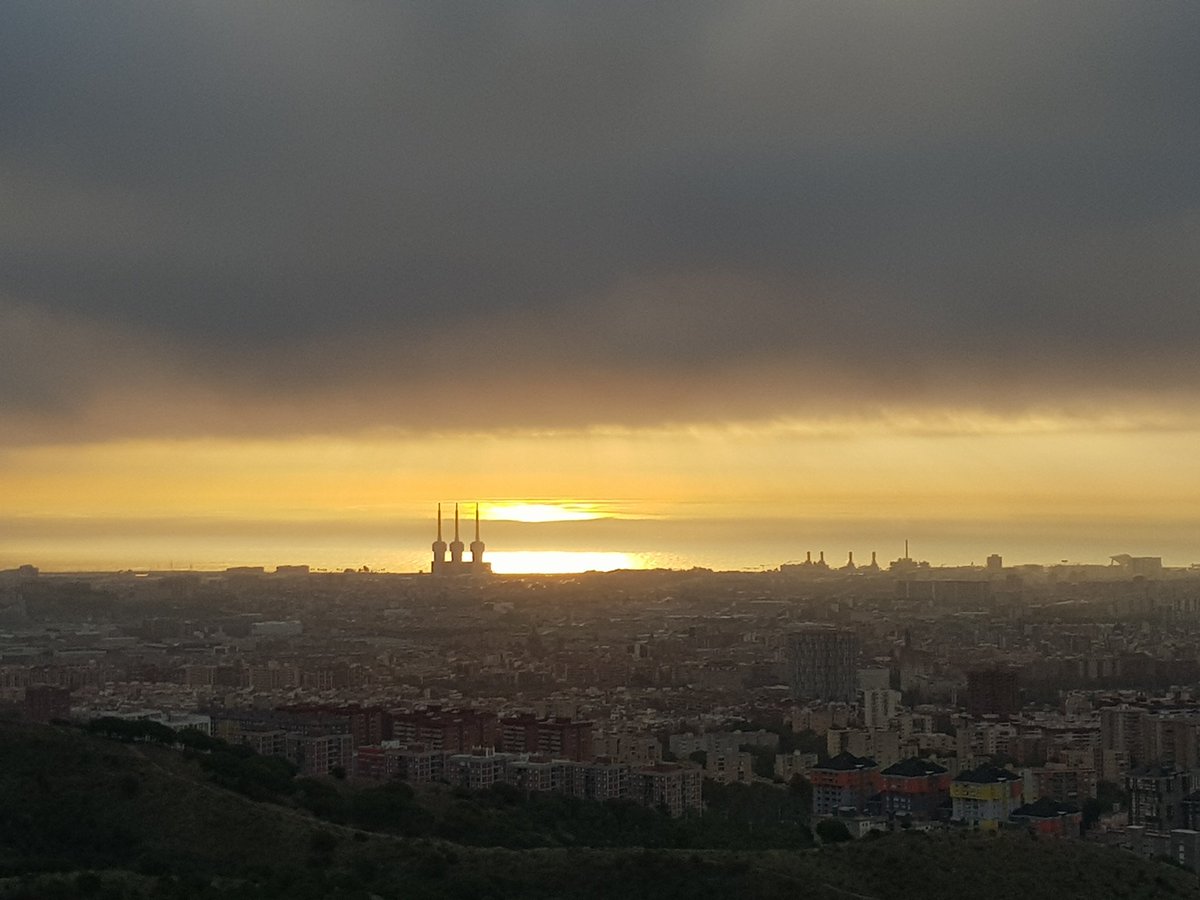 FerminFebrero's tweet image. After 6 months broken, #RunLikeHell at Collserola! ,good feelings  (madroños everywhere!) #Barcelona , #StopViolenceAtAll.