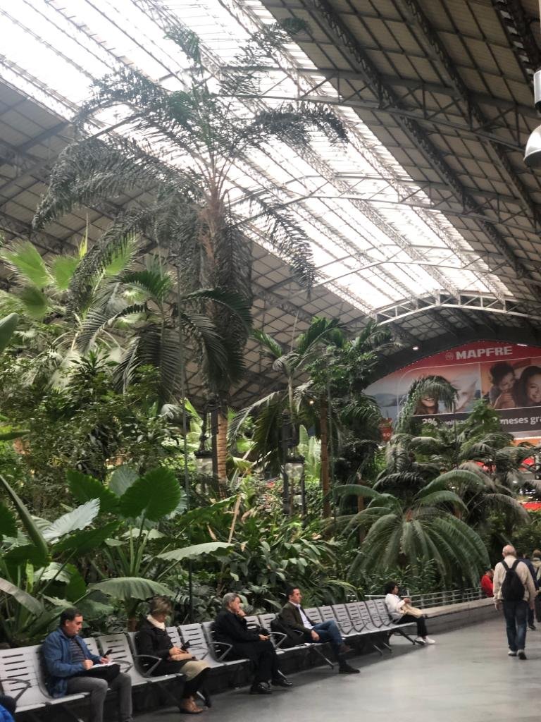 Liebe Freunde,

ich bin gerade in Spanien unterwegs.
Hier die ehemalige Bahnhofshalle des Hbf von Madrid, Erbauer G. Eiffel, heute ein Palmengarten. Und die Kathedrale in Toledo ...

Euer HvO