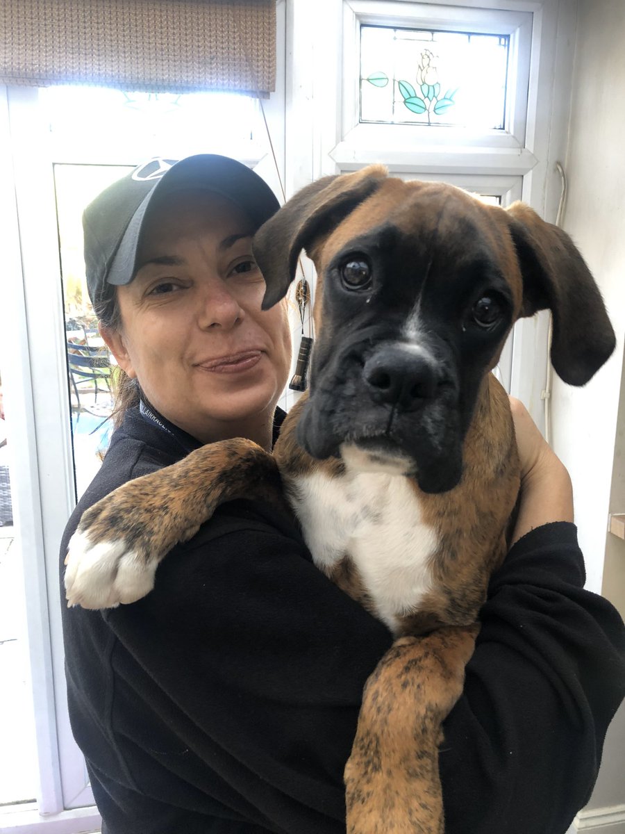 TrustedLocks's tweet image. There’s nothing like a boxer puppy to start the first job of the day off with a smile 😊
