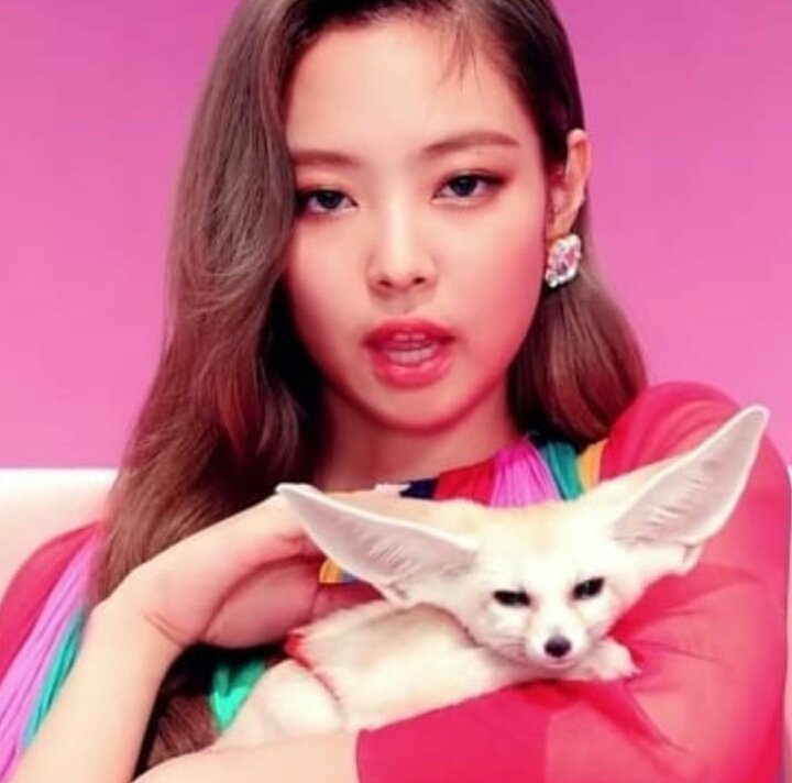 iam_malak_'s tweet photo. Who is the animal among them?
#jennieisnext 
#JENNIE #jenniekim https://t.co/bFKOg1dtSo