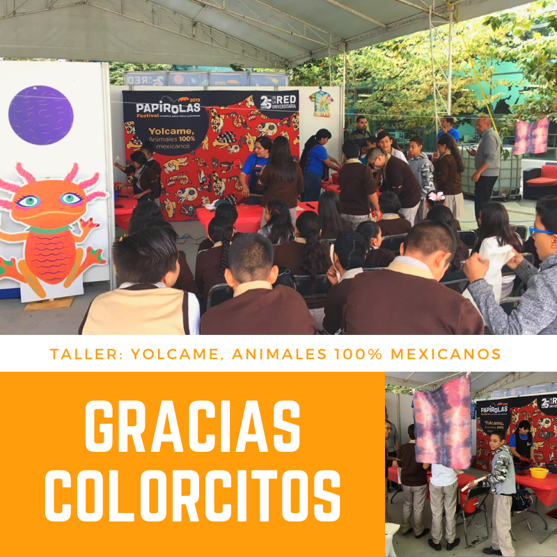papirolasgdl's tweet photo. GRACIAS #Colorcitos por compartirnos de su creatividad y acompañarnos en las #ExtensionesPapirolas 🎨 🖍 🌈 ¡Nos encantó el taller Yolcame: Animales 100% mexicanos #FestivalPapirolas #Animalia2019 🐥 🦆 🦖 🦕 #PapirolasTour 🚌 🦁 🦋 🐶 https://t.co/RszGu4Bs7a