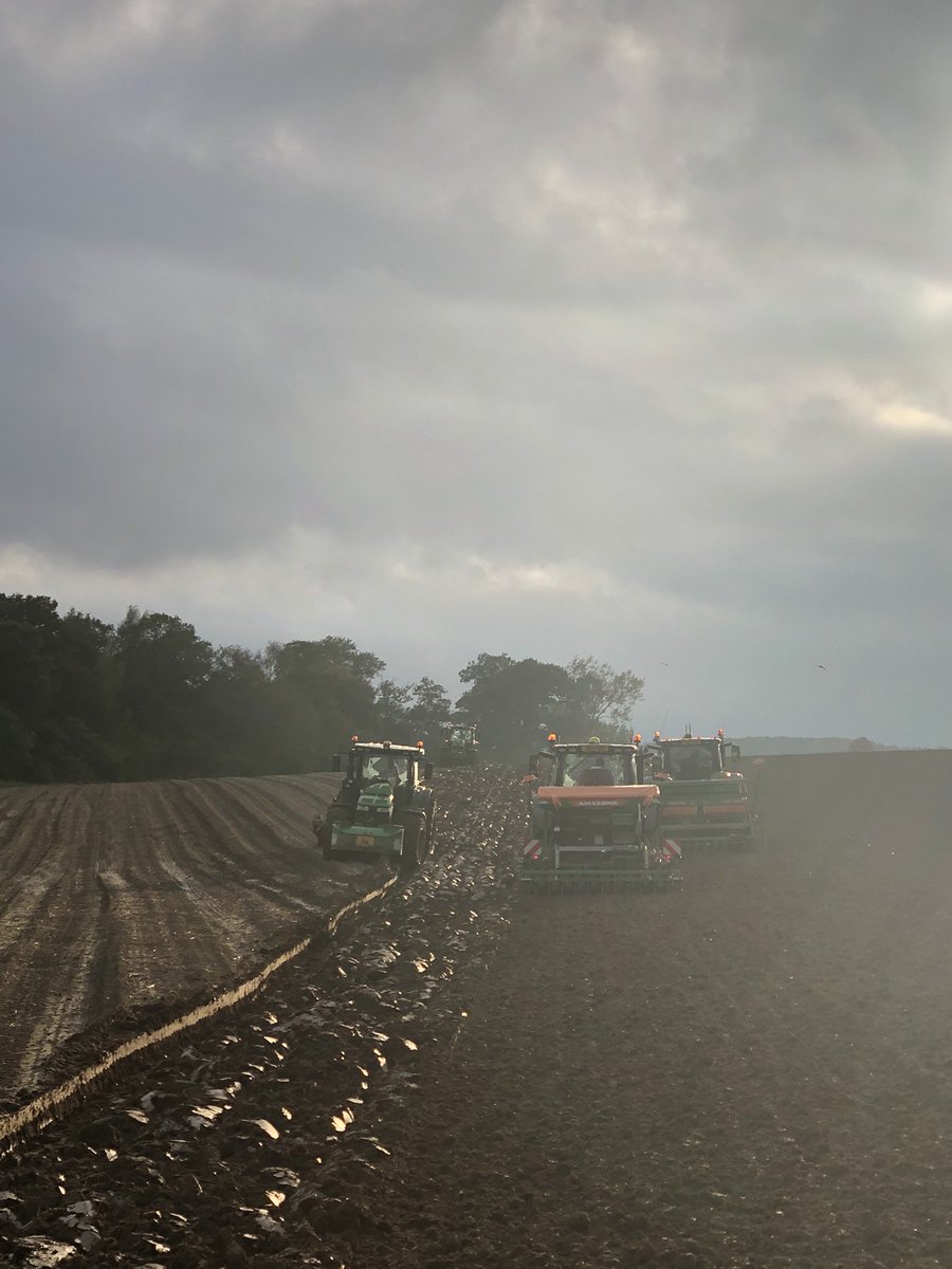 The only way to get any seed in the ground at the minute!! #wetasanotterspocket