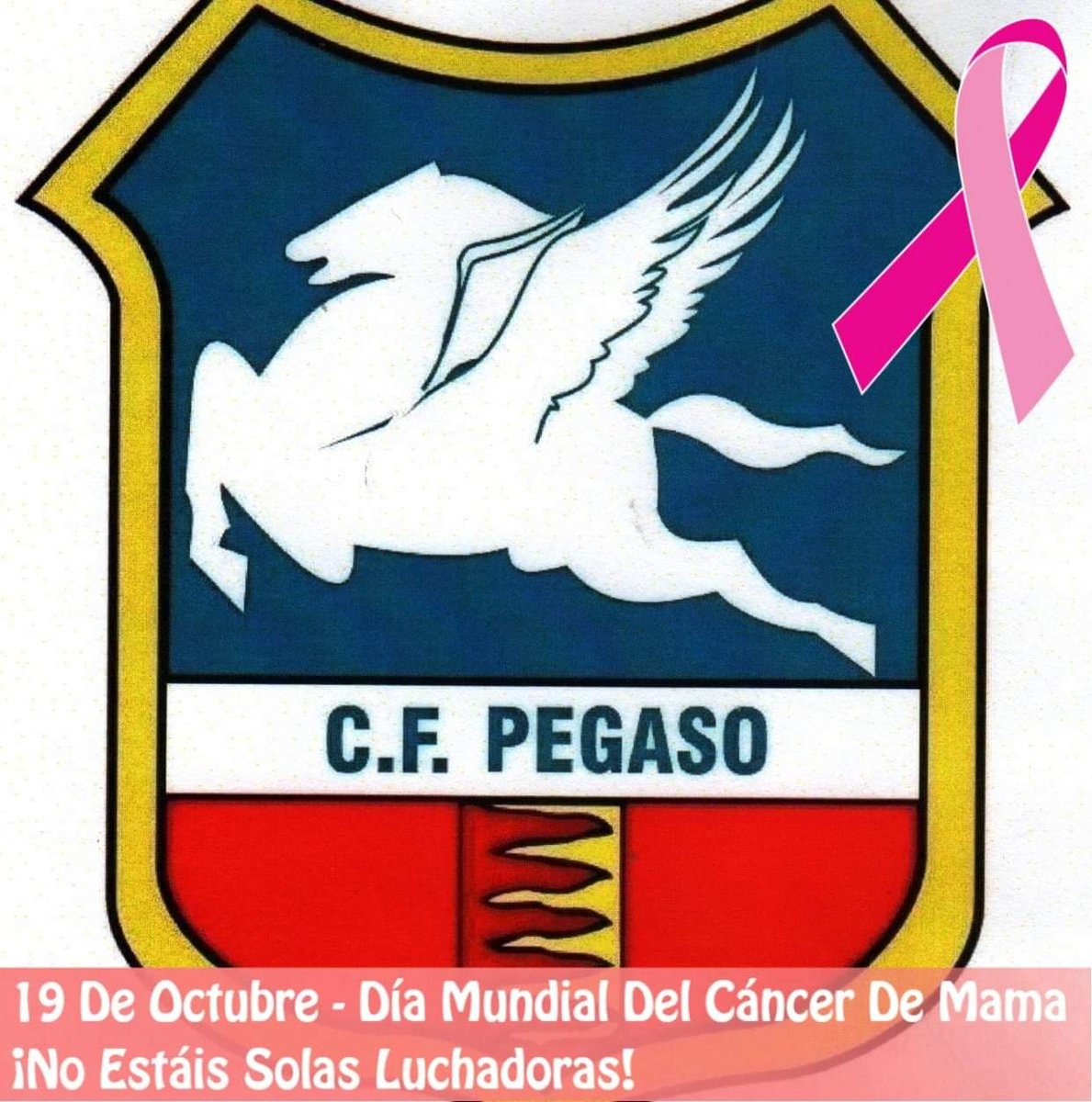 cfpegaso's tweet photo. Por cada lucha individual y compartida.
CONTIGO DAMOS LA CARA🎀🎀 https://t.co/whwZnI1ca6