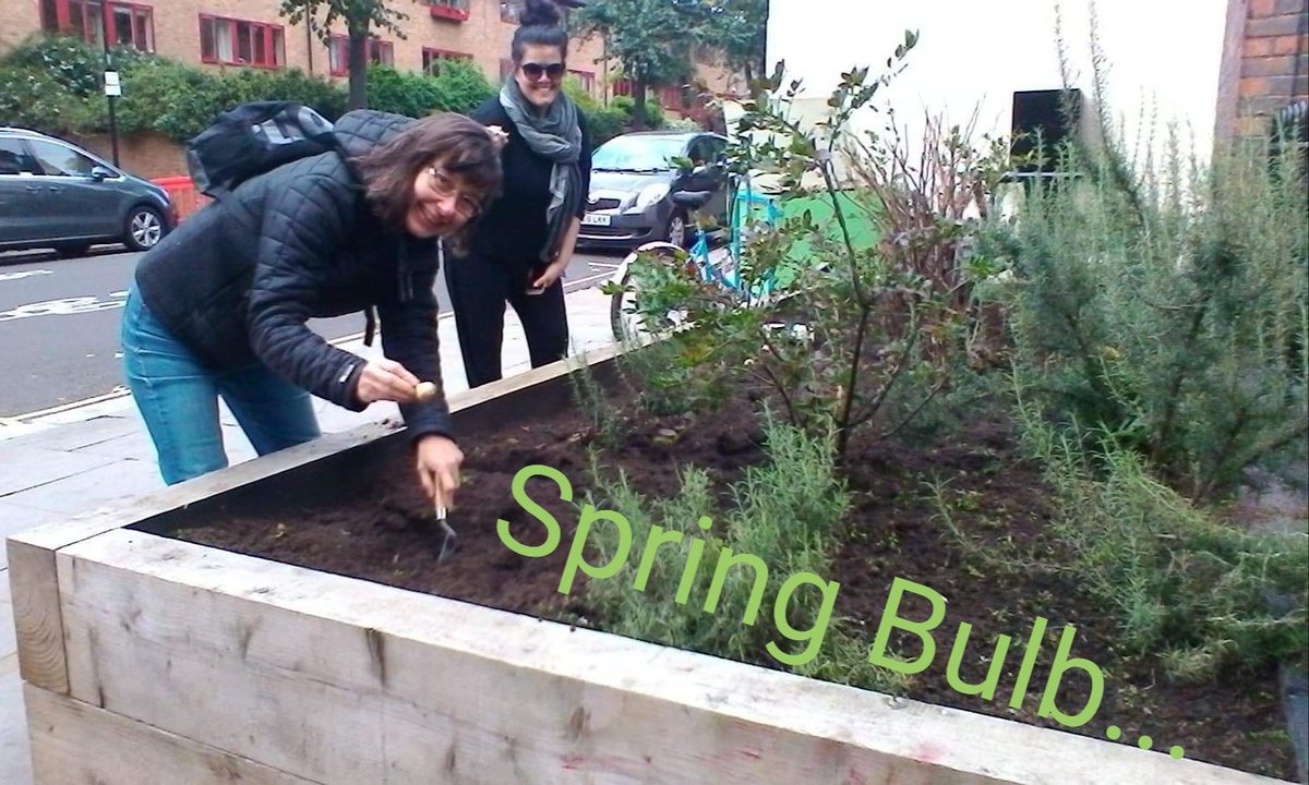 To #plant a #springbulb is to #believeintomorrow @gardener_herb