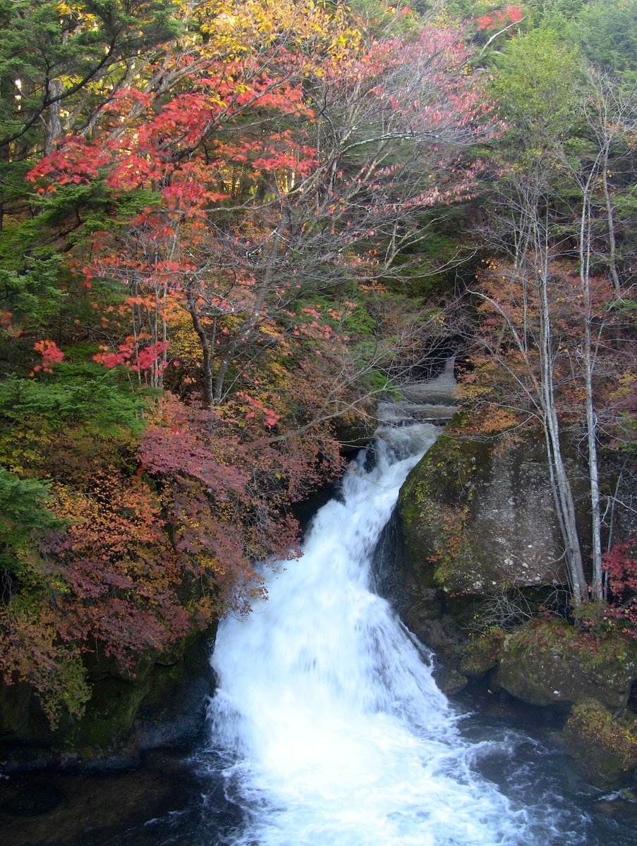 소소한이야기 (@stgmassdol01023) on Twitter photo 