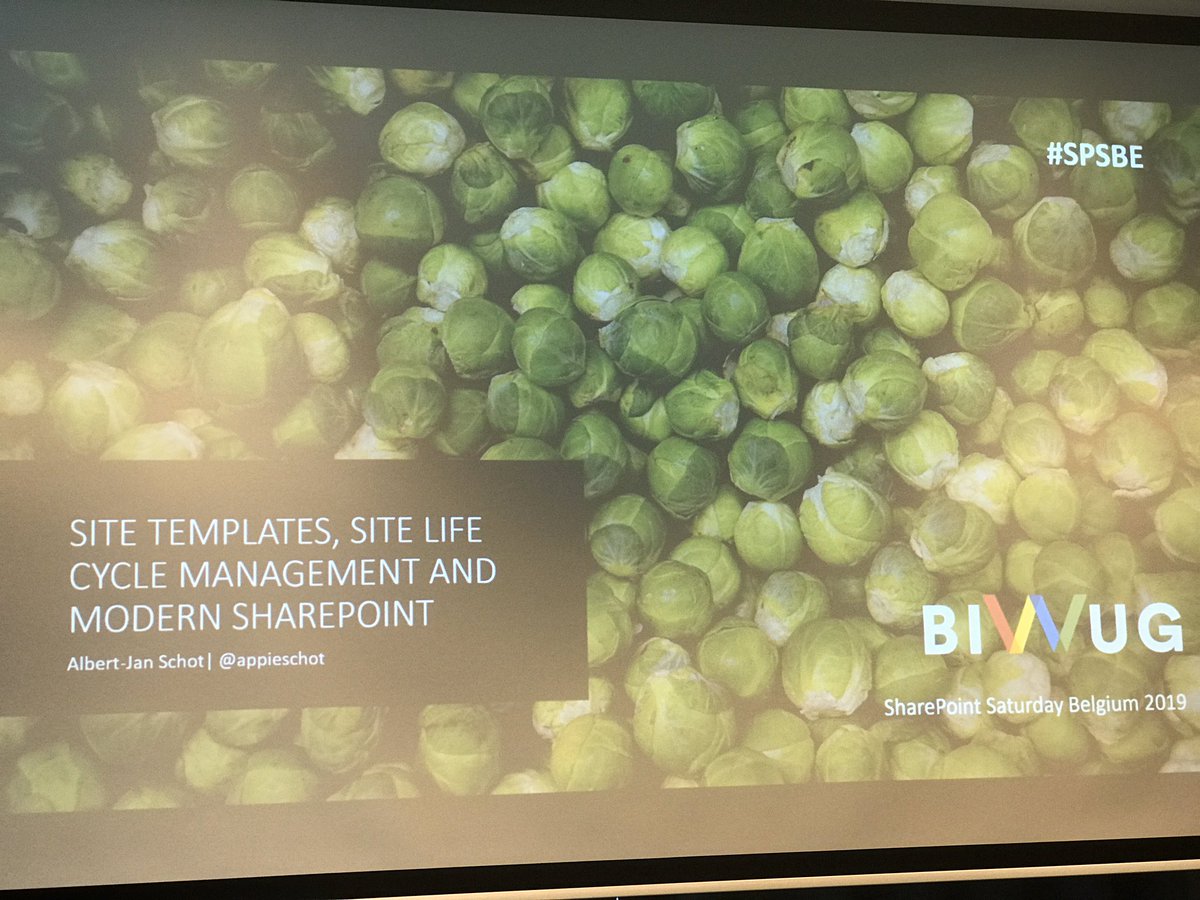 ReneWasel's tweet image. First session @appieschot ‚Site templates, site life cycle management and modern sharepoint‘ #spsbe