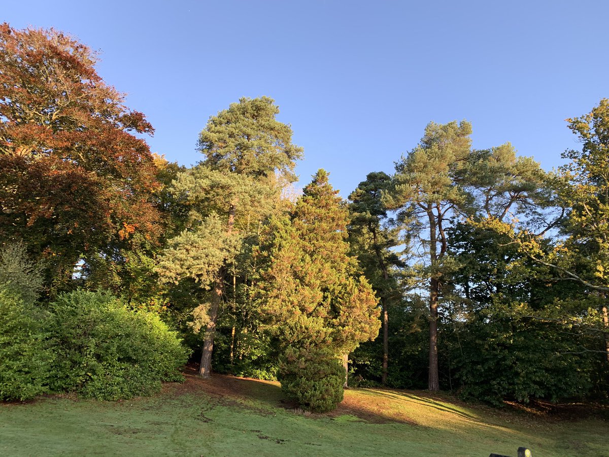 What a lovely autumn morning at the Duke of Wellington statue in #Aldershot ☀️. We are so lucky to have this on our doorstep.