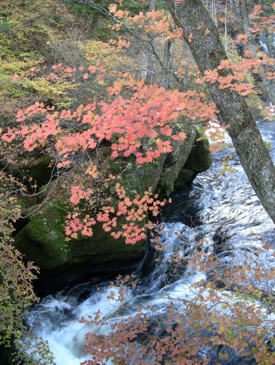 고무가락가락 (@gmgmassdol02017) on Twitter photo 