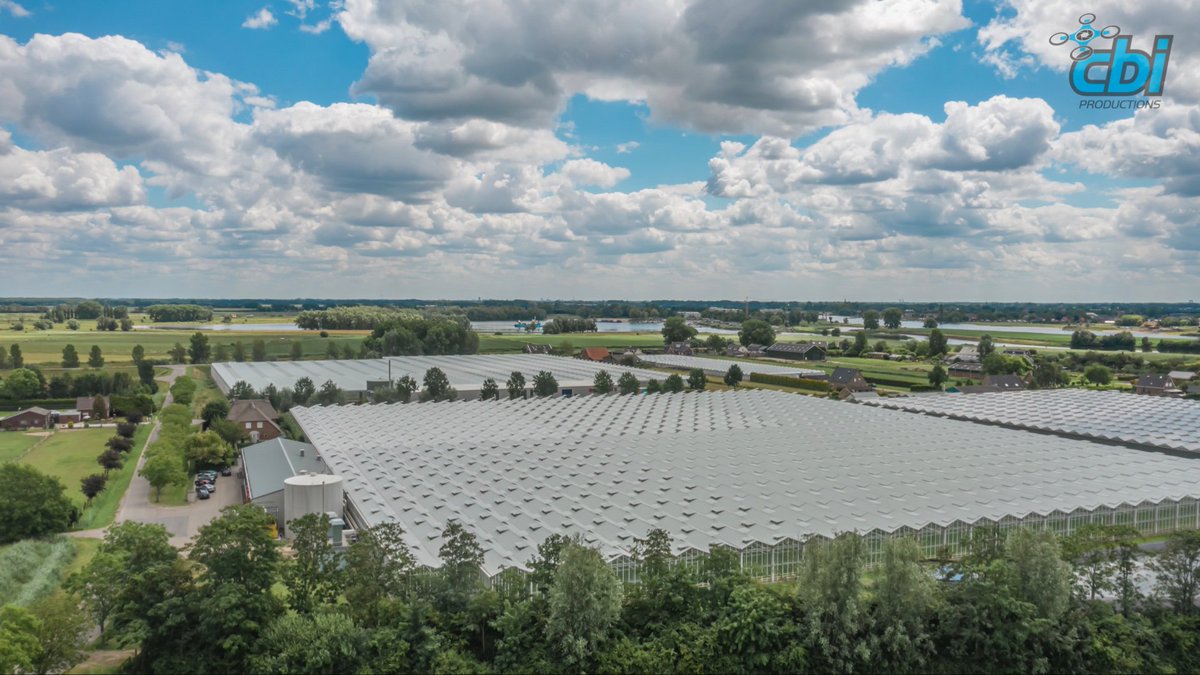 Goedemorgen, Kwekerij <a href="/Buijsflowers/">KwekerijBuijsflowers</a> een kweker met 2 prachtige kwekerijen van 3 hectare per kwekerij. Jaarrond worden hier verschillende soorten chrysanten geteeld. Wilt u ook een foto/film van uw bedrijf neem gerust contact met mij op. #drone #sky #agriculture