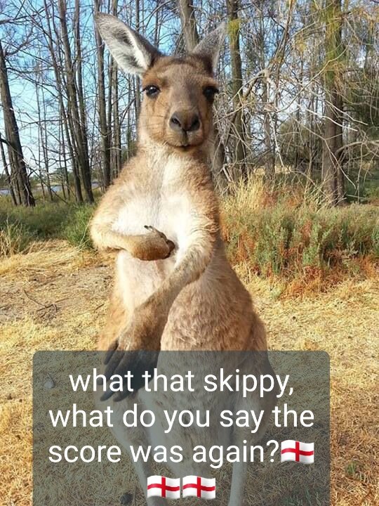 #ENGvAUS #RWC19