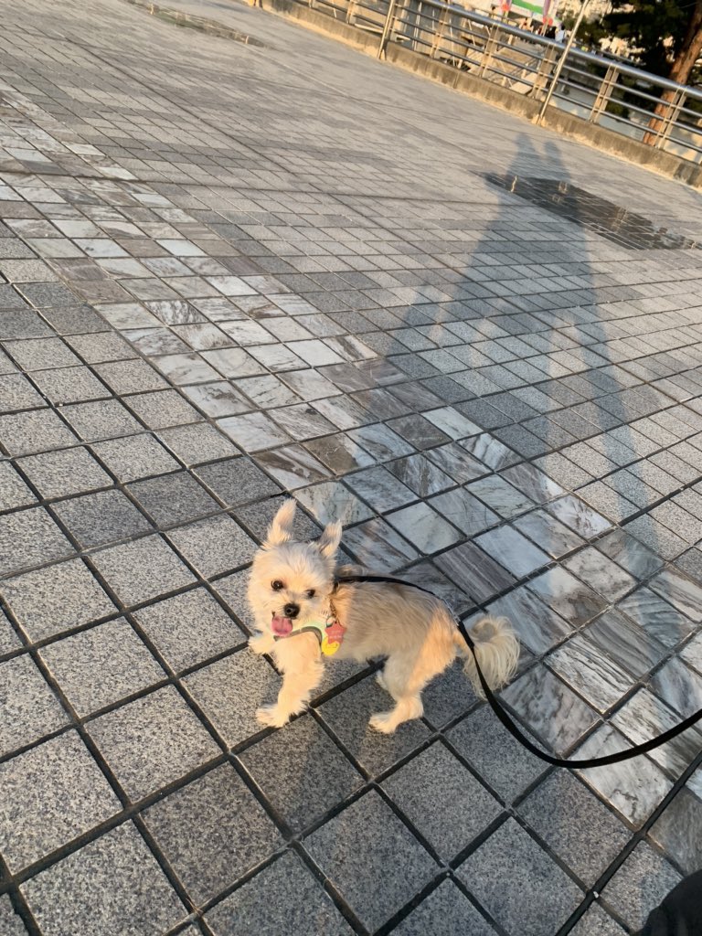 kingddangkong's tweet photo. 가을나들이 https://t.co/lY2S9Hh2fO