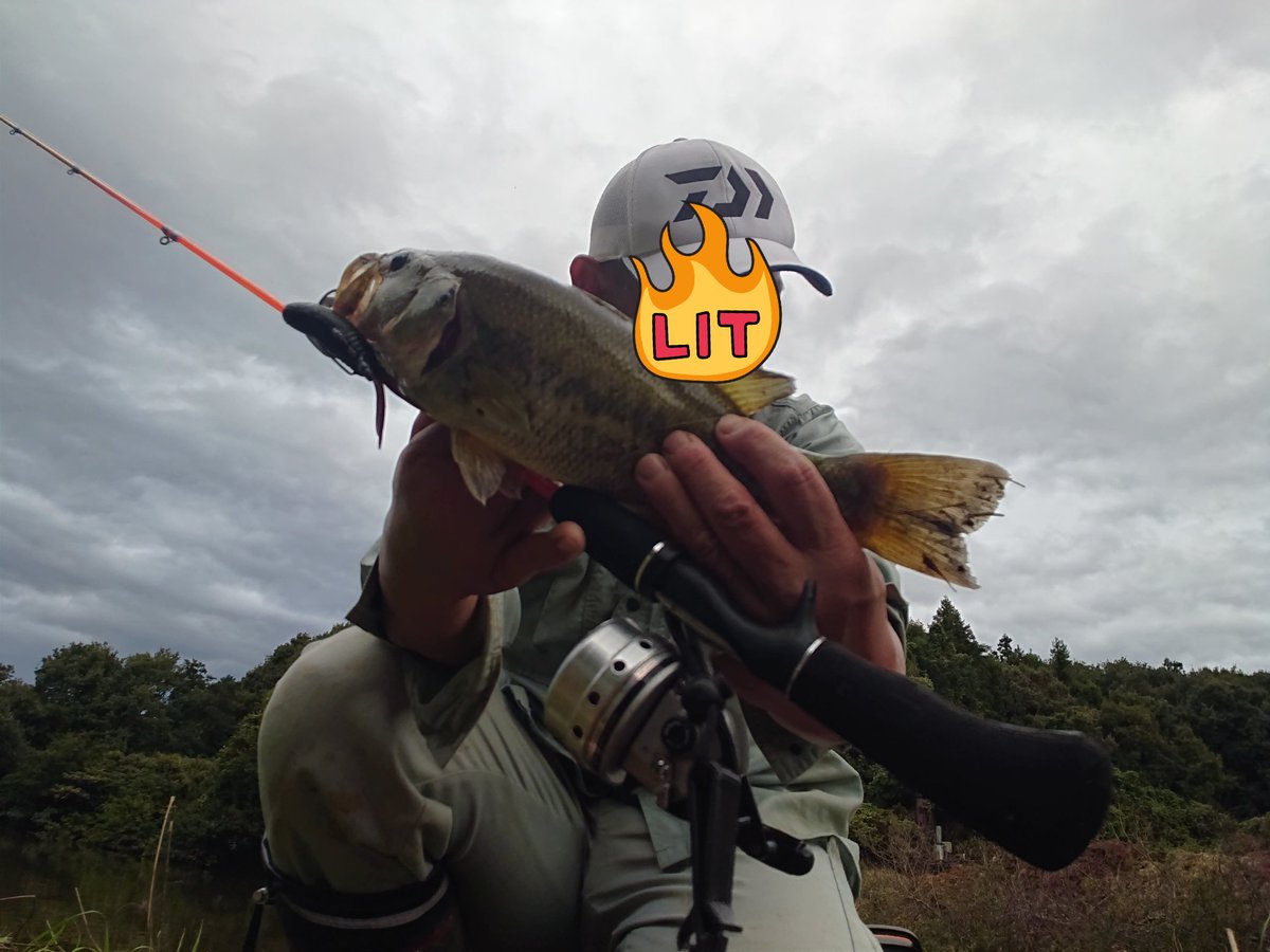 troutfisher33's tweet image. リールメンテしながらの〜
(  ᐛ )۶🍻٩( ᐖ  )カンパーイ🍻🍺
皆様、今日も一日お疲れ様でした！
#daiwa
#TATULA
#Spincast
#RAID
#buggycraw
#Megabass
#グレート鱒レンジャーキャロチューン
#ドイツビール
#DARGUNER
#GOLDLAGER
#suntory
#神泡