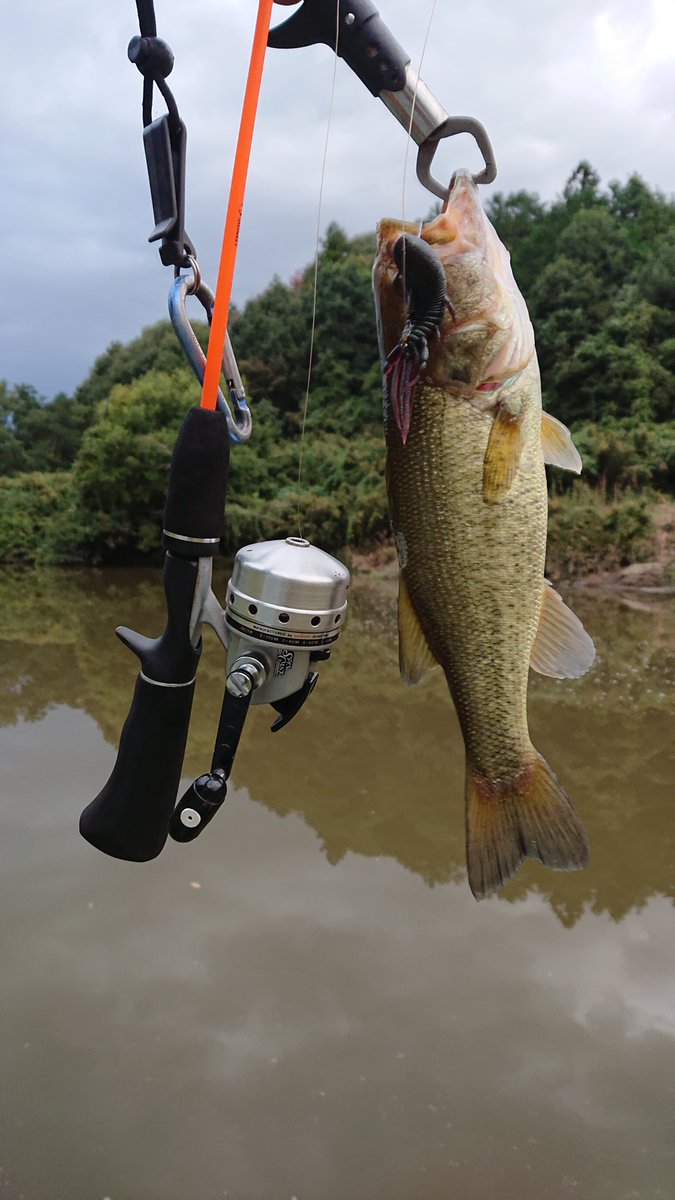 troutfisher33's tweet image. リールメンテしながらの〜
(  ᐛ )۶🍻٩( ᐖ  )カンパーイ🍻🍺
皆様、今日も一日お疲れ様でした！
#daiwa
#TATULA
#Spincast
#RAID
#buggycraw
#Megabass
#グレート鱒レンジャーキャロチューン
#ドイツビール
#DARGUNER
#GOLDLAGER
#suntory
#神泡