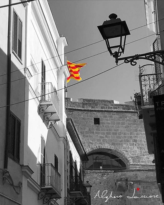 algherodamare's tweet photo. L’Alguer ❤️@algherodamare
#alghero > https://t.co/ktELIiKoIj https://t.co/Sf9lnDUvnF