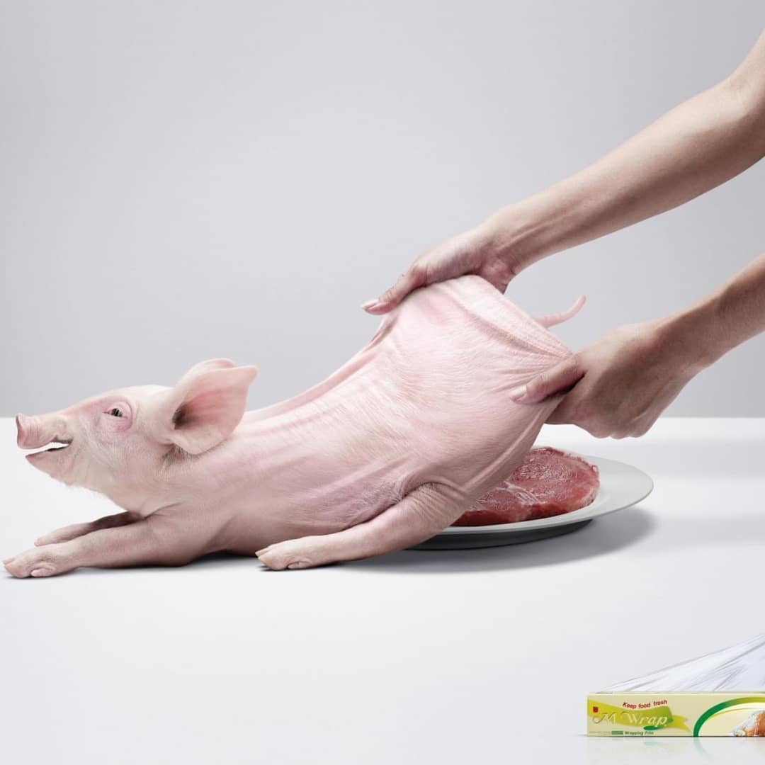 adaddictive's tweet photo. Keeps Food Fresh!

Go to https://t.co/Pt7G3aefPj for more ads
Follow us on @adaddictive

#adaddictive
#Advertisingcampaign
#Advertisingcampaigns
#Advertisingdesign
#Advertisingdesigns
#advertisingguru
#advertisingidea
#advertisingideas
#clingfilm
#clingfilmwrap
#foodpackaging https://t.co/VlZqYNQy9c