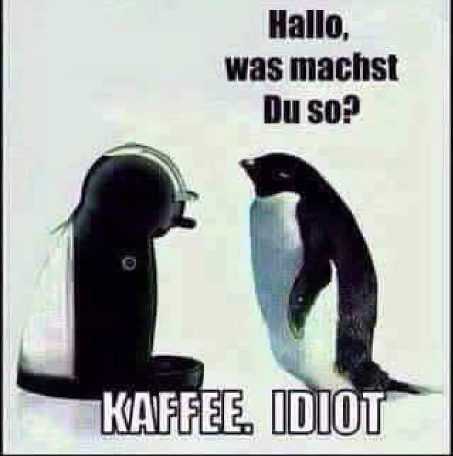 BBderDEL's tweet photo. Wir wünsche Euch allen einen schönen guten Morgen und ein erholsames Wochenende!

🐧 @FT_Pinguins oder 🐧 @KR_Pinguine, wer erkennt sich wieder?

#EishockeyStandortKrefeldmussbleiben @3on3overtime https://t.co/0y7kgLg8EB