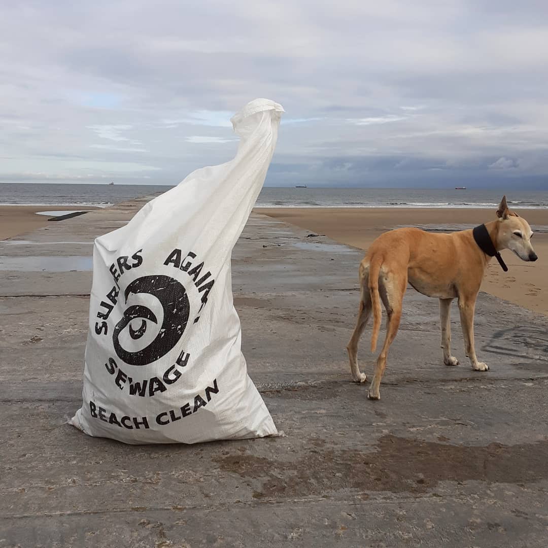 naughtyDOG2's tweet image. This morning walk included a beach clean with @FreeHartlepool @sascampaigns #plasticpollution #autumnbeachclean @tampax @NorthumbrianH2O #dontflush