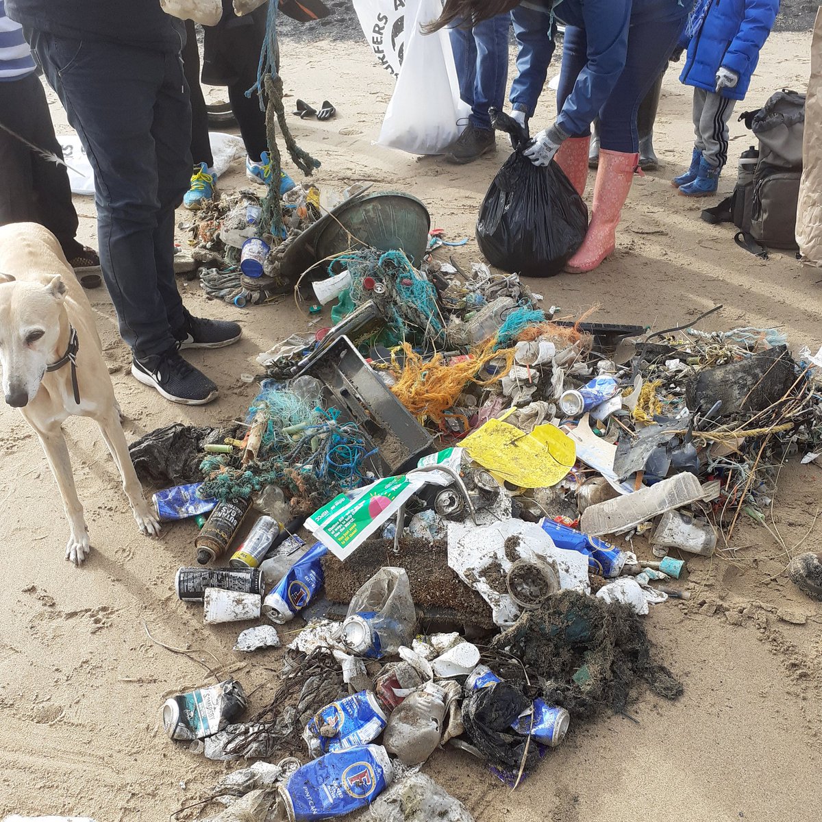 naughtyDOG2's tweet image. This morning walk included a beach clean with @FreeHartlepool @sascampaigns #plasticpollution #autumnbeachclean @tampax @NorthumbrianH2O #dontflush