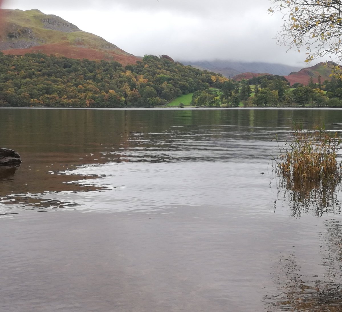 Mark Macdonald tweet media