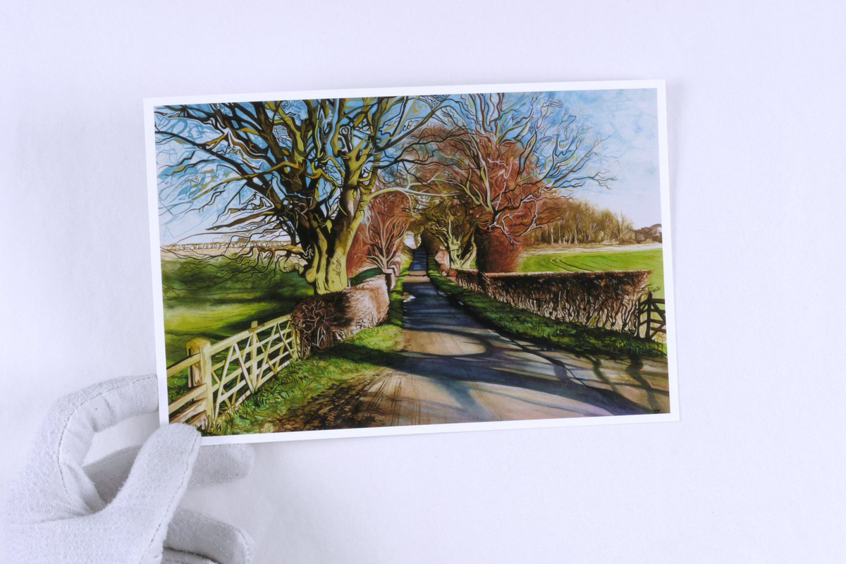 ‘Winter Light - South Dalton Wold’ by landscape painter Sean Beardsley

Printed on <a href="/CansonPaper/">Canson</a> Aquarelle Rag

#landscapeartist #winterlight #art #eastyorkshire #artcollector #seanbeardsleyart #colour #trees #artist #yorkshireartist #canson #aquarellerag #fineartprint #point101