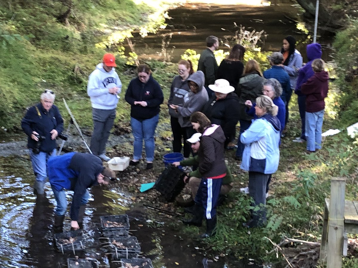 alsbyers's tweet photo. #BESTnBayWatersheds teachers determining stream flow &amp; H2O quality, 4 mussel sustainability @vcusoe @vcuenvs @VCURiceRivers stream 4 @NOAAeducation BWET grant https://t.co/HdBWnS1xak