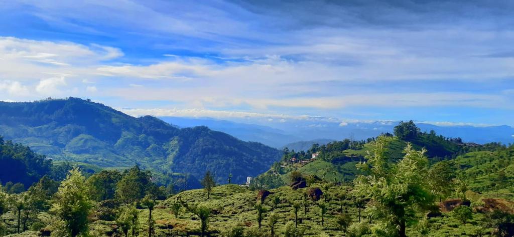 vargheseKE1's tweet photo. #munnarqueen
#Bestplacestistayinmunnar
#placestovisitmunnar
#munnarsughrseeing https://t.co/QSsPH0VAwW