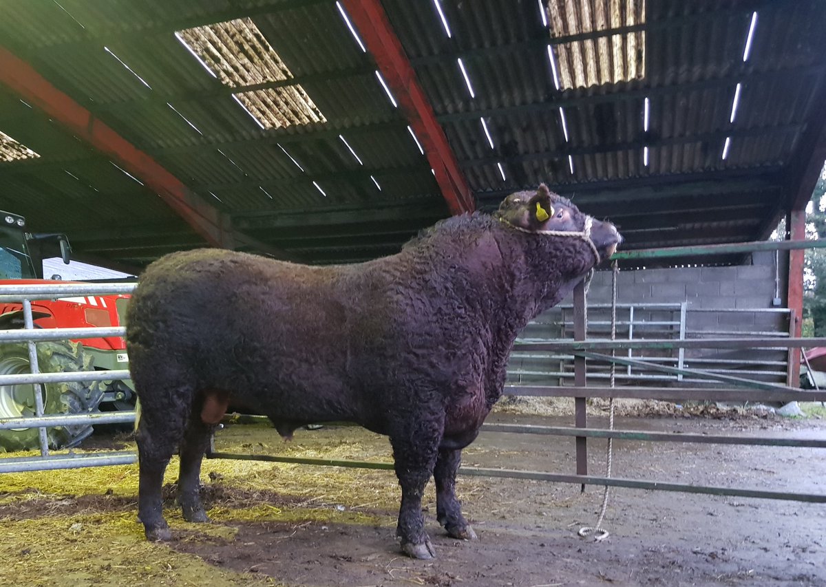 Niall Blair tweet media