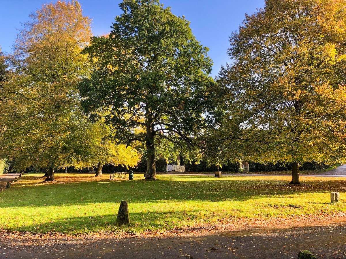 binksweb's tweet image. We #love the #Chilterns, especially experiencing the #Autumn colours! A wonderful place to live, check out some of our property's for #sale and #rental at binksweb.com #Chenies #Chesham #lowndespark #Amersham #Chorleywood #Herts #Bucks