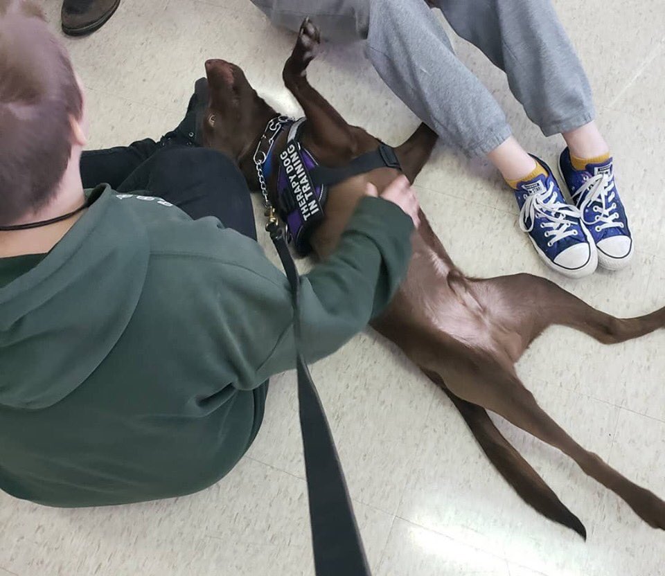 masttherapydogs's tweet photo. #mast visits schools! We visit places like #Granthighschool. Here are @alphadogmason and TJ getting real close, some sweet belly rubs from students and Aggie happy as can be! #therapydogs #love #kiddos #watchyerfacemason😬 https://t.co/NoLRCSWZcC