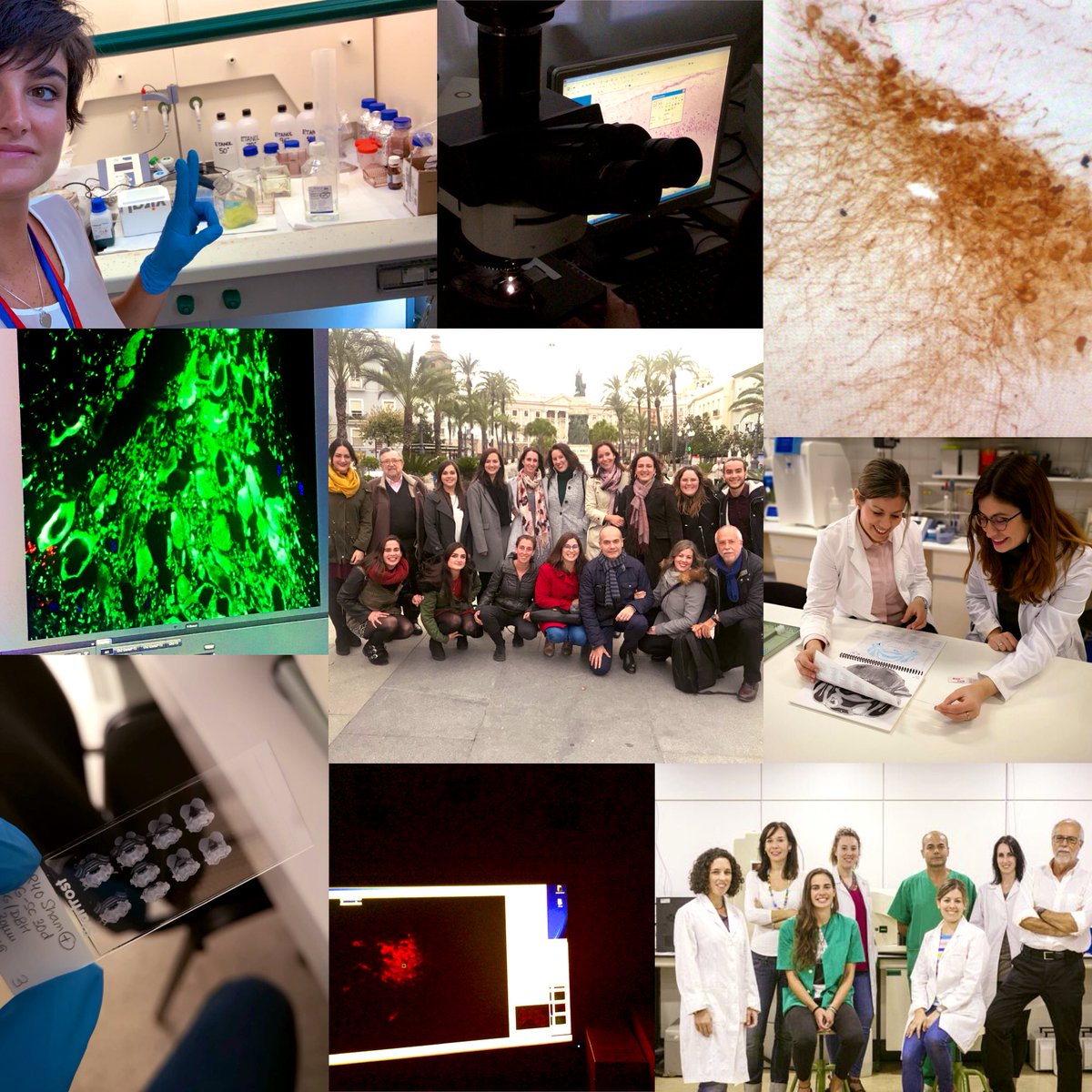 Berrocoso_Lab's tweet image. Desde nuestro grupo nos sumamos a la #MarchaporlaCiencia porque sin ciencia no hay futuro 👩🏻‍🔬👨🏻‍🔬🔬🦠🧫