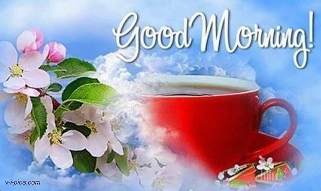 nikolv's tweet image. 