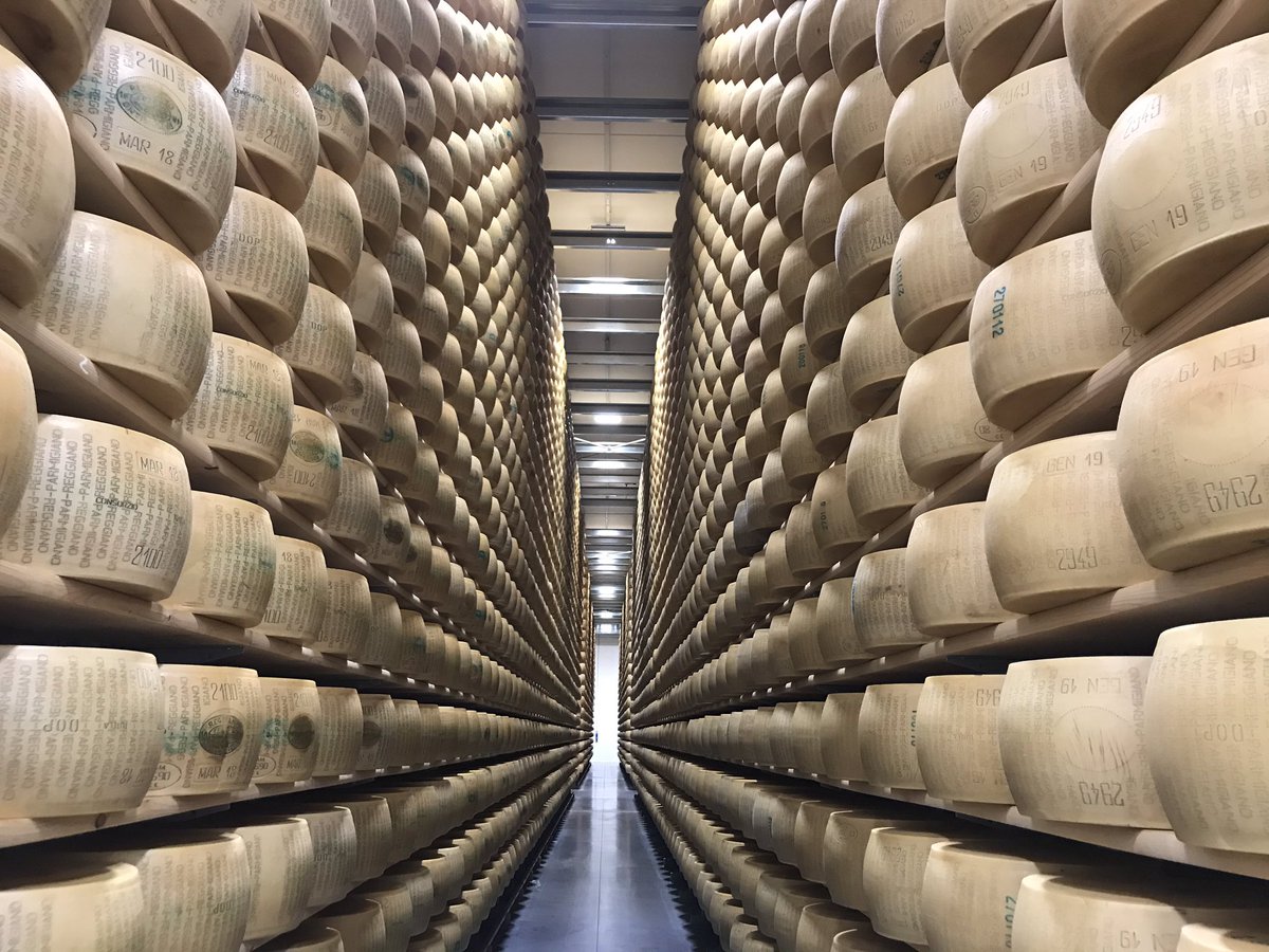 cristianacolli tweet media