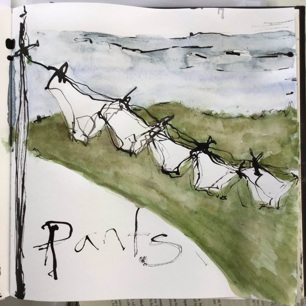 callyyeatman's tweet photo. Something both literal and metaphorical for today #inktober #washing #ontheline #gooddryingbreeze #drawing #ink #brexitdisater #remain #notmuchhope https://t.co/onFSGT278R