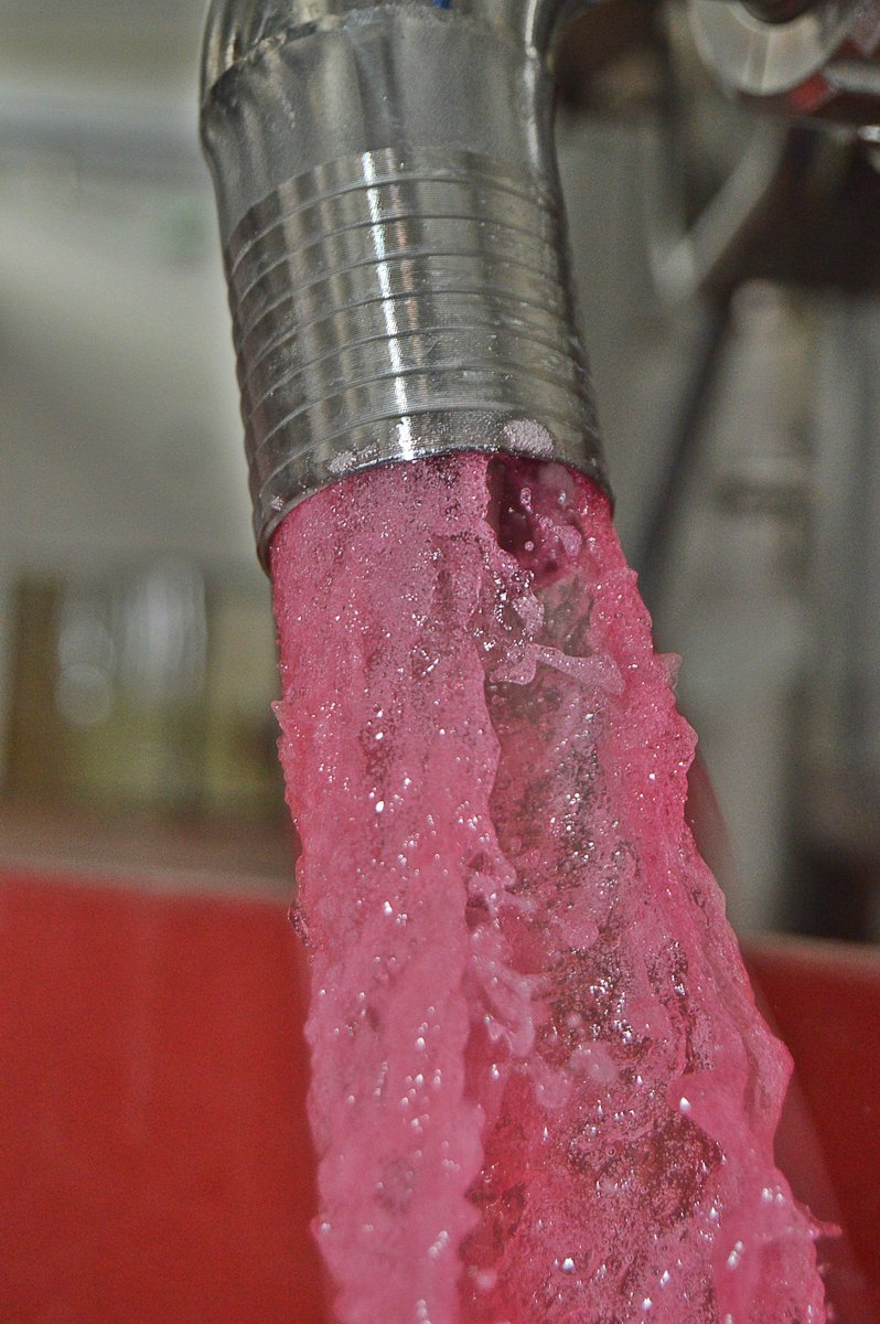 TurismoCigales's tweet photo. El ciclo vital de los #vinos de la @DOCigales continua en las Bodegas #Trasegando #Descubando #VinosenRama @RutaVinoCigales @rutasvinoespana #Enoturismo #Vino #Wine @cyldevinos @ncabarri @Inmawine @enoturismo_cyl @EnoturismoVLL @CyLesVida @turvalladolid @vinetur https://t.co/5SwkDxESAc