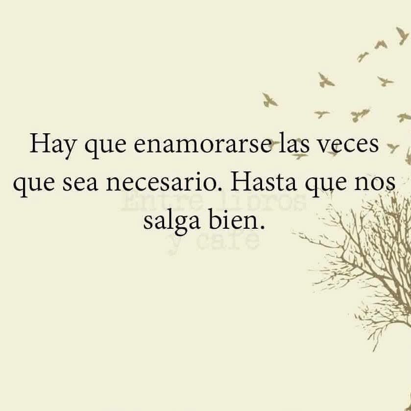 NelsonGilmark's tweet photo. https://t.co/aLEHxMs6RS