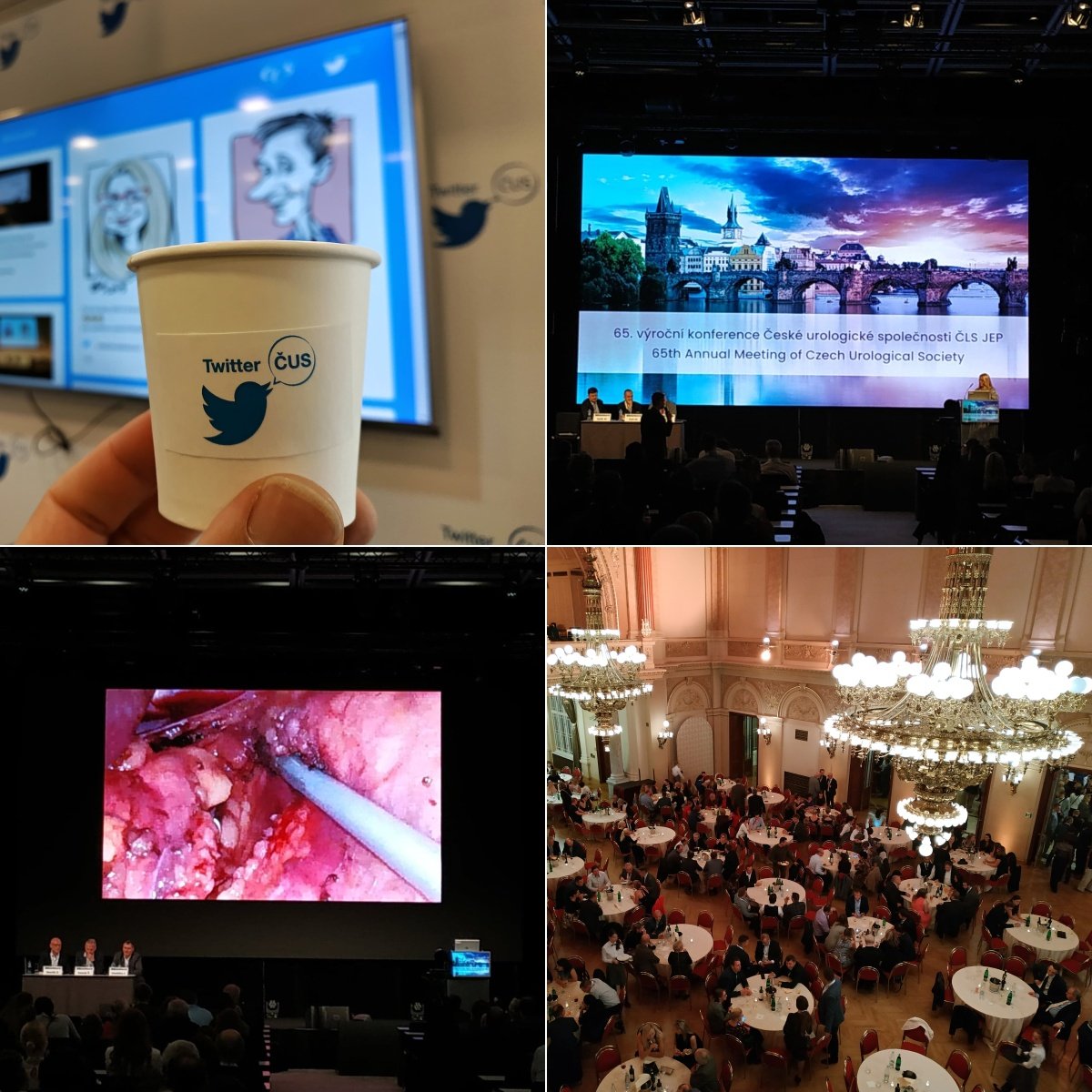 CUS_CLS_JEP's tweet photo. Děkujeme všem hostům, přednášejícím, návštěvníkům i vystavovatelům za inspirující a příjemnou 65. výroční konferenci #CUS19. Díky také za práci výboru ČUS pod vedením @MarekBabjuk a přejeme nově zvoleným členům výboru pod vedením @ZachovalRoman hodně sil a energie #uroczech https://t.co/qoEkzClh1S