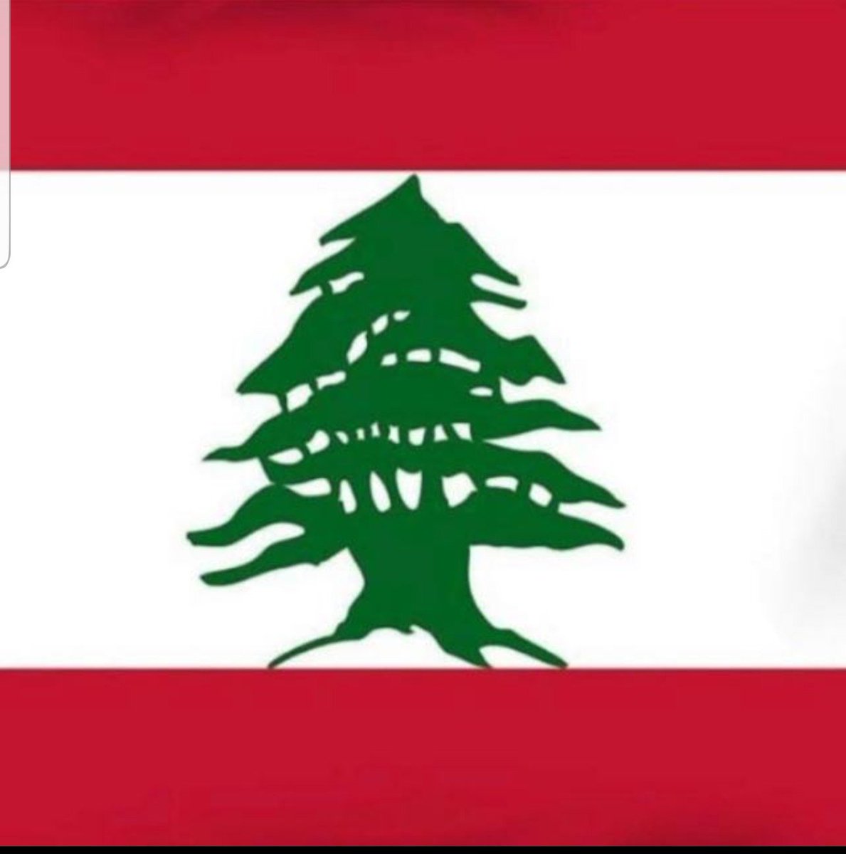 ZiyadBaroud's tweet image. إلى الأعزاء الذين يسألون عن غيابي عن الشارع، أقول: الشارع اليوم هو للناس، للناس، للناس، لغضبهم المشروع، لتعبيرهم الحر، وعلى  السياسيين الاستماع إلى نبض الشارع، إلى ألمه، إلى مطالبه. لقد تكلمنا كثيرا وقد جاء زمن الإصغاء والعمل الفعلي، بعيدا عن استغلال المنابر.