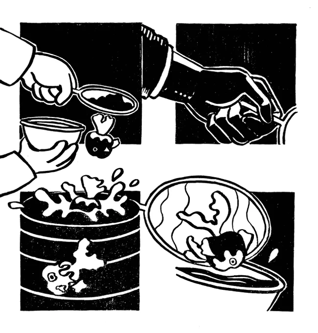 Applefish scooping 001

#リンゴの星 #イラスト #イラストレーション #illustration 