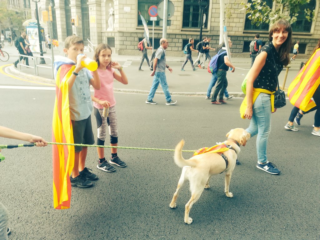 javierMbrocal's tweet photo. Ayer pasé el día en #Barcelona y me encontré con manifestantes. Quienes protestan a la luz del sol son personas corrientes, con quienes hablé serenamente de lo que no estamos de acuerdo. Estoy convencido de q los violentos no representan a quienes salieron a las calles. https://t.co/phdnvu84Lq
