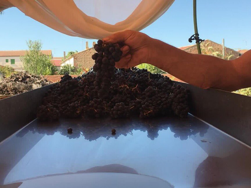 BodegaNegon's tweet photo. Amamos y mimamos cada uva junto con las mejores maderas. Así se crea Dharma de Negón, desde lo más profundo y auténtico, desde nuestro corazón.    #calidad  #topselection #unico #mimo #amor #dharma  @ Fuentecén, Spain https://t.co/vtaZrcAbIb