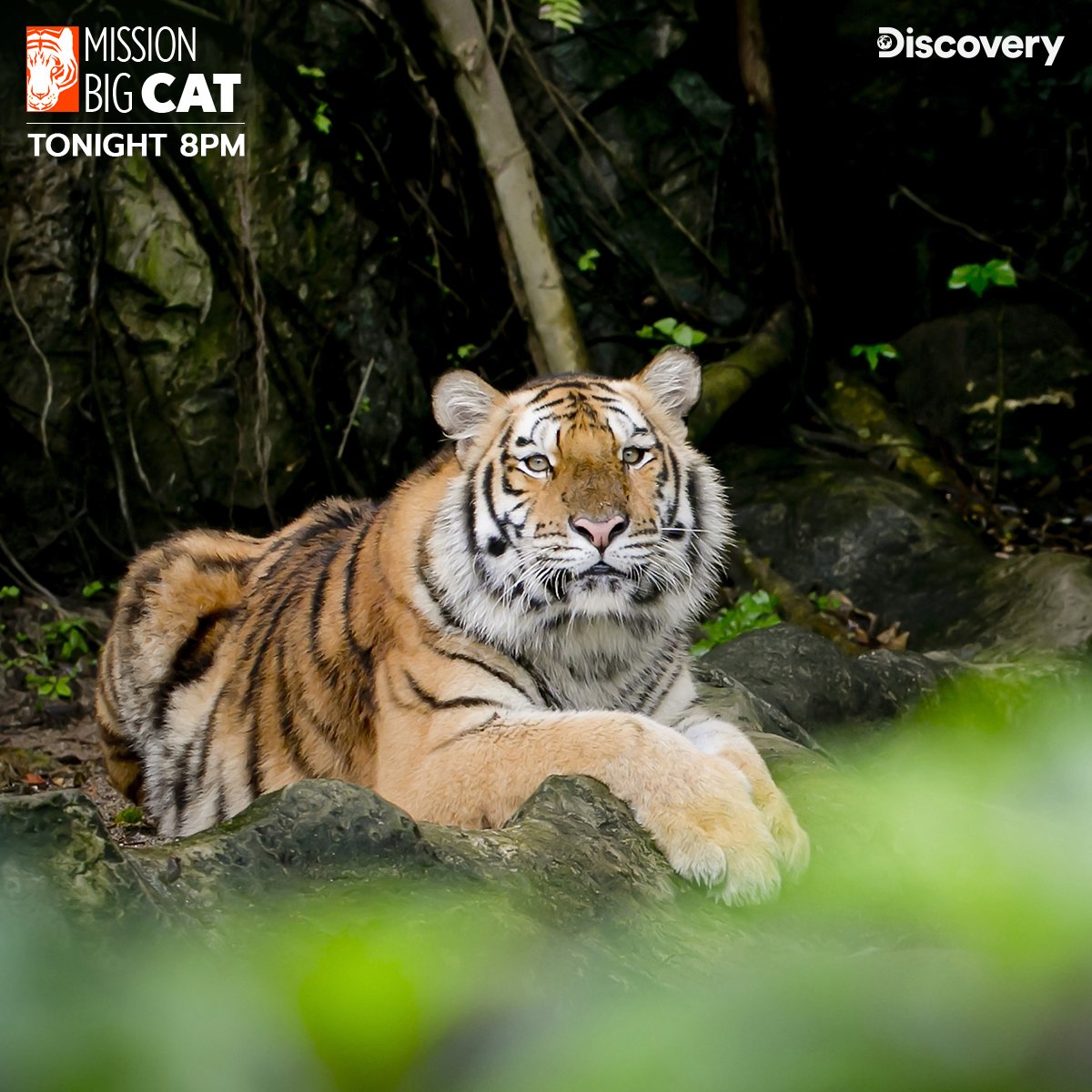 Discovery Channel India on Twitter: 