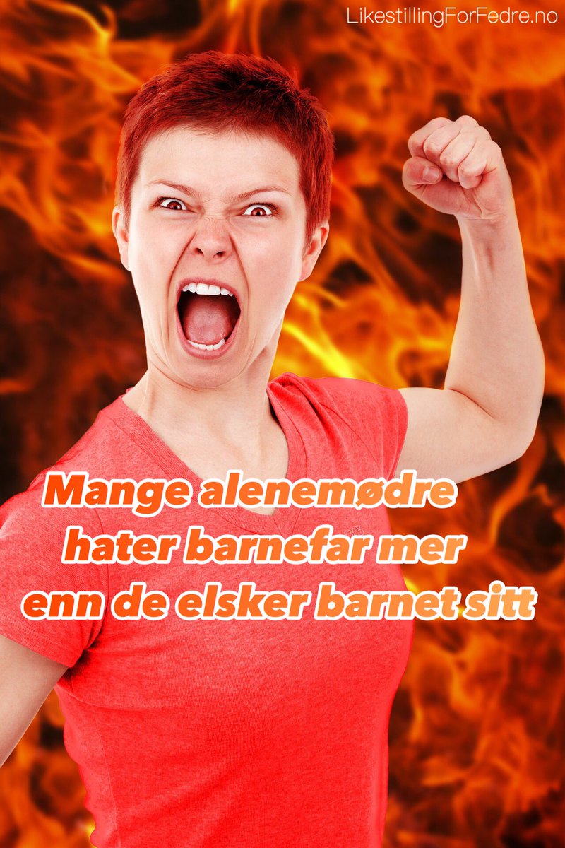 LikestillingForFedre tweet media