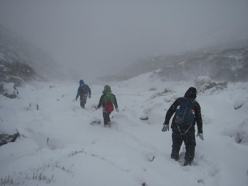 jonnyhhanson's tweet photo. @sfs_src A day late but pics of me & fieldwork team caught in blizzard @ minus 20 c @ 4200m in Nangpa valley in Sagarmatha National Park, Nepal, Feb14. Things got a little hairy but we lived to tell the tale and even blog about it https://t.co/PhhFrTePQ3 #SFSFieldWorkFriday #snowleopards https://t.co/isGQgqMnUT