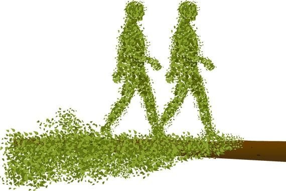 geo_generation's tweet image. 