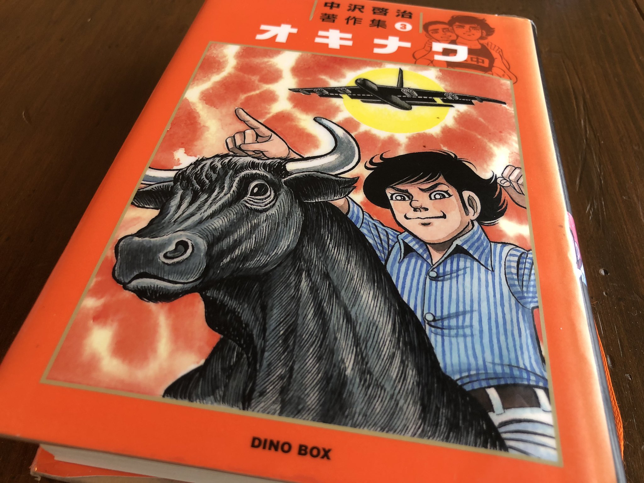オキナワ 中沢啓治 813FMrKatqL._UF350,350_QL50_.jpg